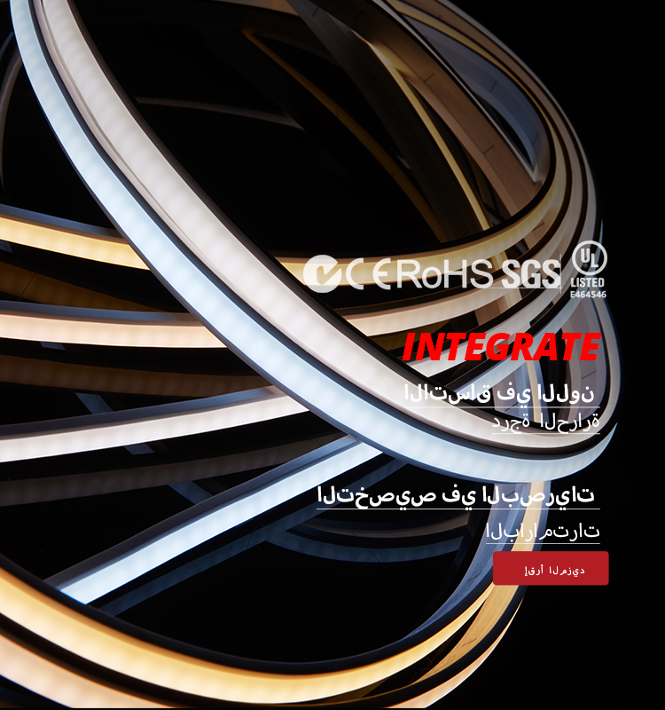 啊手机banner2 拷贝